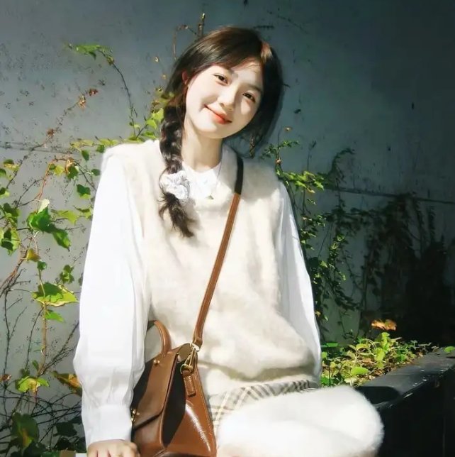 狮子王3